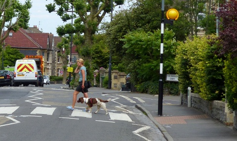 Zebra Crossing beacon upgrade Zebrite