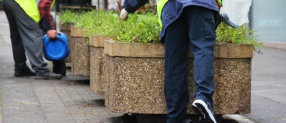 Planters parking deterrent